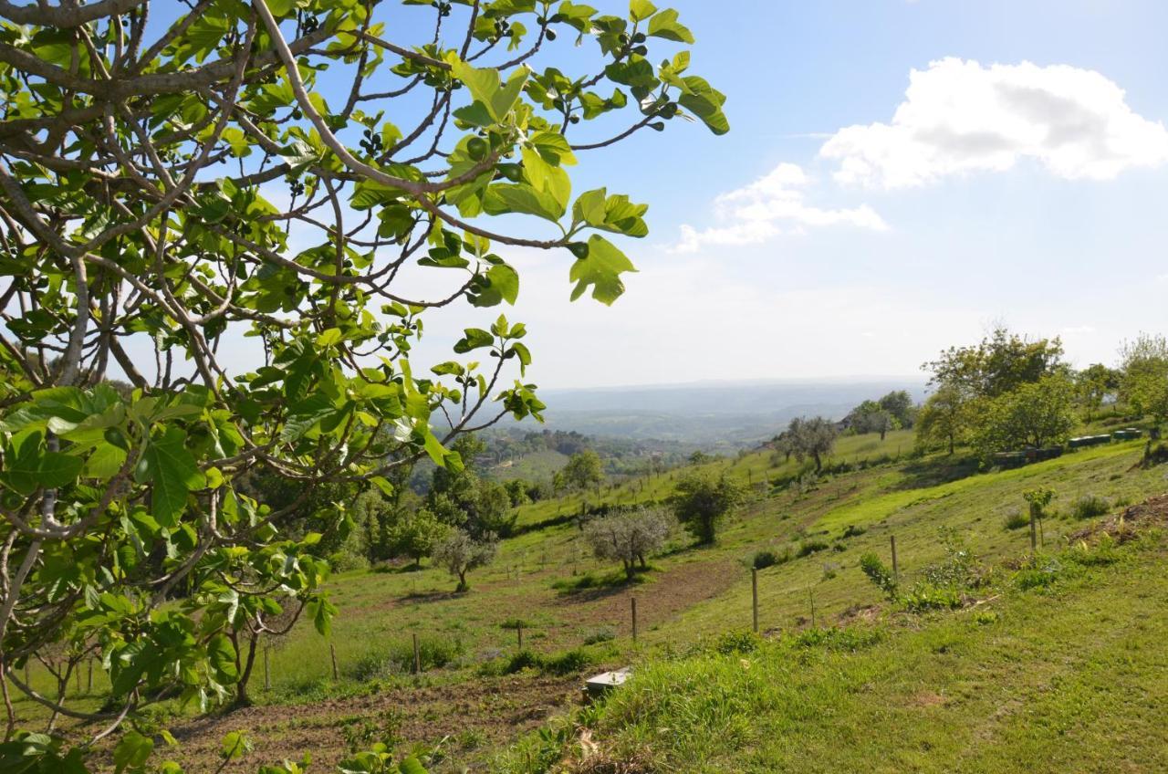 Casa Franceschini Villa Poggio Mirteto Ngoại thất bức ảnh